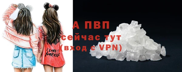 2c-b Бородино