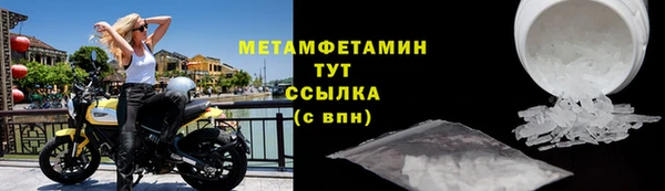 прущие грибы Переславль-Залесский