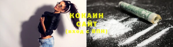 индика Верея