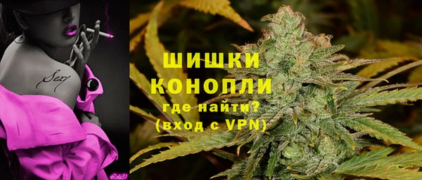 PSILOCYBIN Бронницы