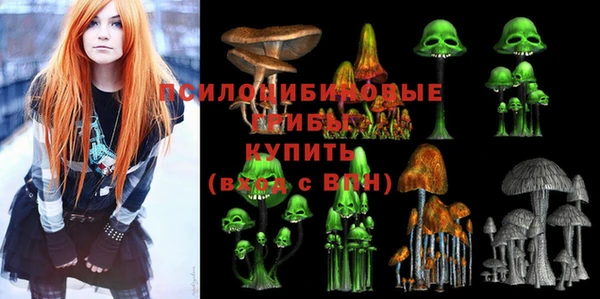 ПСИЛОЦИБИНОВЫЕ ГРИБЫ Верхний Тагил