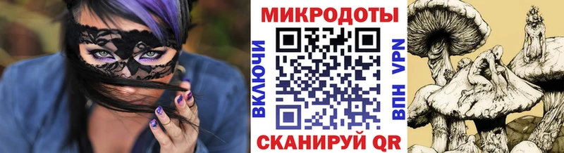 Галлюциногенные грибы Psilocybine cubensis  Егорьевск 